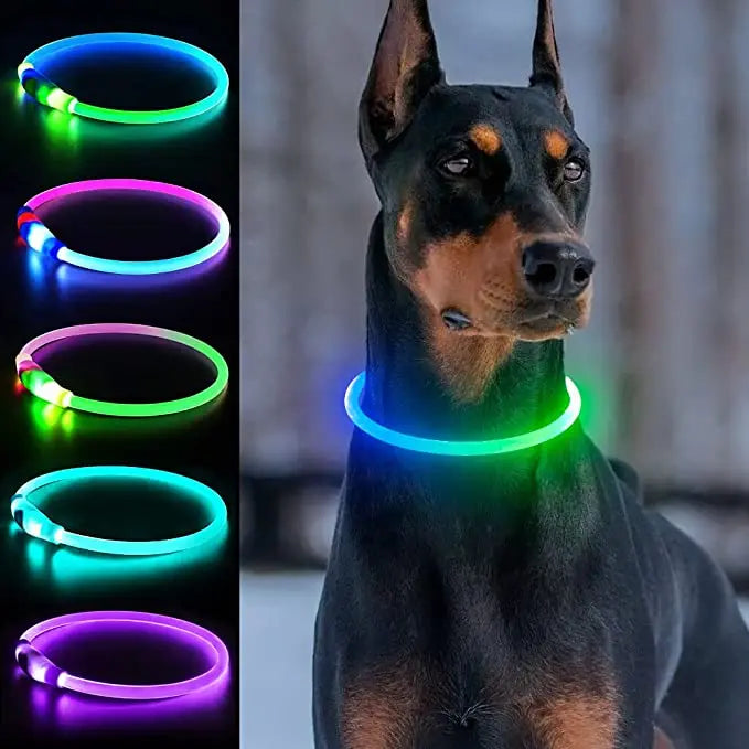 Collier LED Sécurité Nuit