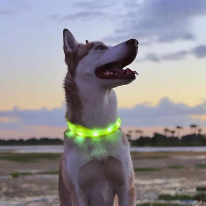 Collier LED Sécurité Nuit